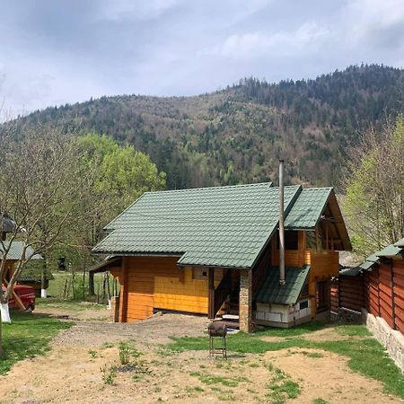 Еко Будинок В Горах Verkhnyaya Bystra Exteriör bild